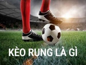 Kèo rung là gì? Giải đáp câu hỏi thú vị