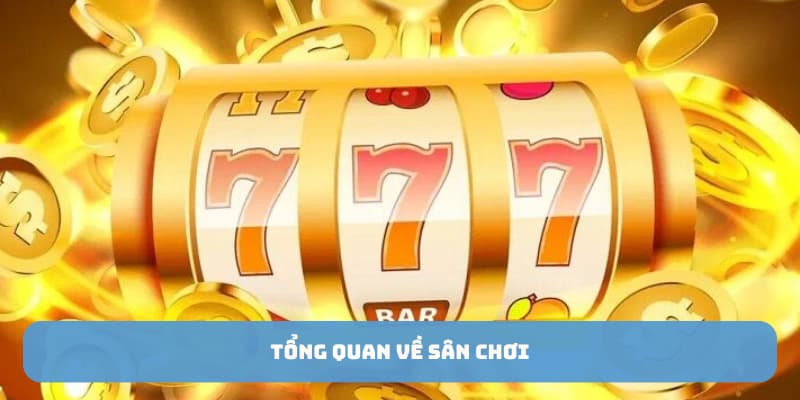 Tổng quan về sân chơi